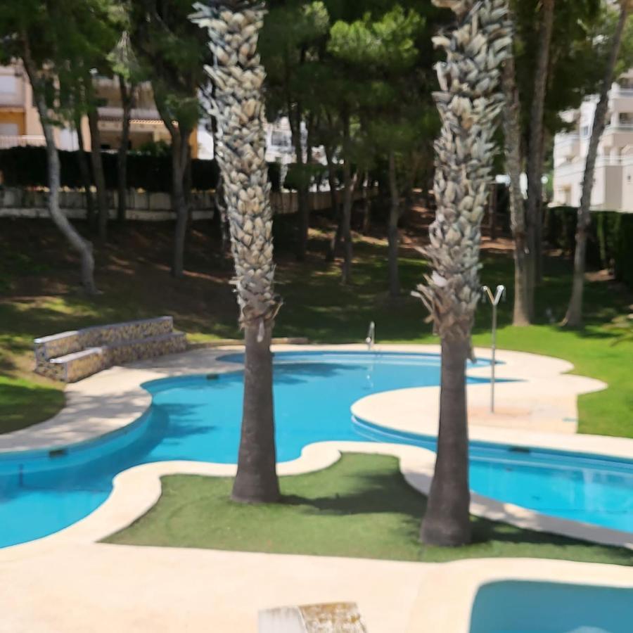 Apartamento Ines, Dehesa De Campoamor,900M From The Sea , Swimming Pool & Tennis Court Eksteriør billede