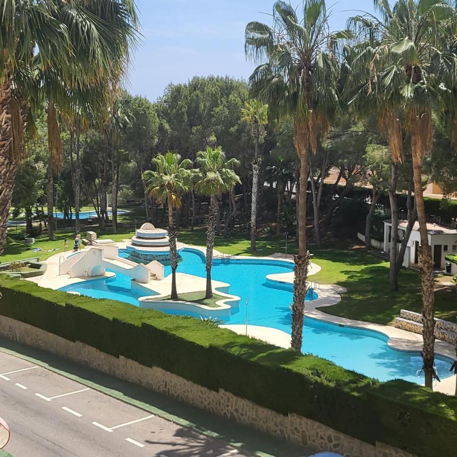 Apartamento Ines, Dehesa De Campoamor,900M From The Sea , Swimming Pool & Tennis Court Eksteriør billede